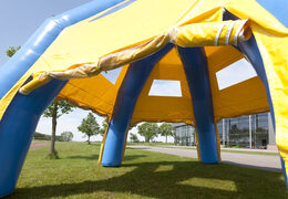 spidertent_blauw-geel (1).jpg