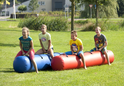 Springslang Blauw en rode voor zowel oud als jong bestellen. Koop opblaasbare zeskamp artikelen online bij JB Inflatables Nederland