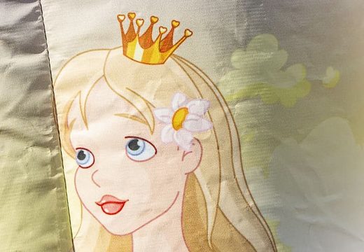Klein overdekt multifun springkasteel te koop in thema prinses voor kinderen. Koop springkastelen online bij JB Inflatables Nederland