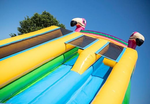 Bestel Drop & Slide Jungle springkussen met dubbele glijbaan voor kinderen. Koop opblaasbare springkussens online bij JB Inflatables Nederland