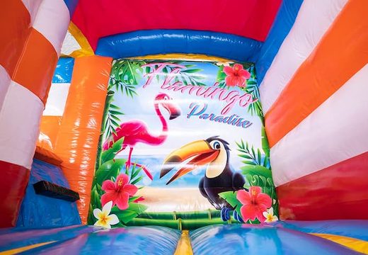 Mini splash bounce flamingo springkasteel met of zonder bad kopen voor kinderen. Bestel springkastelen onlin bij JB Inflatables Nederland