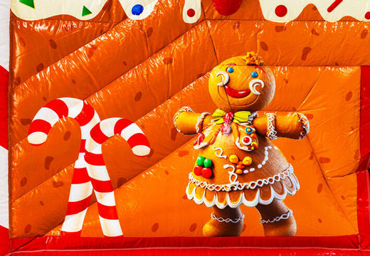 Illustratie van Gingerbread poppetje op springkussen Multiplay te koop bij JB